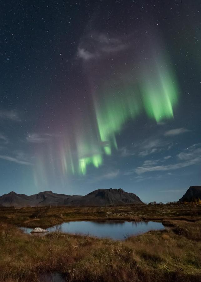 Lyngvaer Luggombu Villa Kleppstad Eksteriør billede